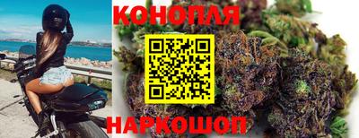 стаф Гусев