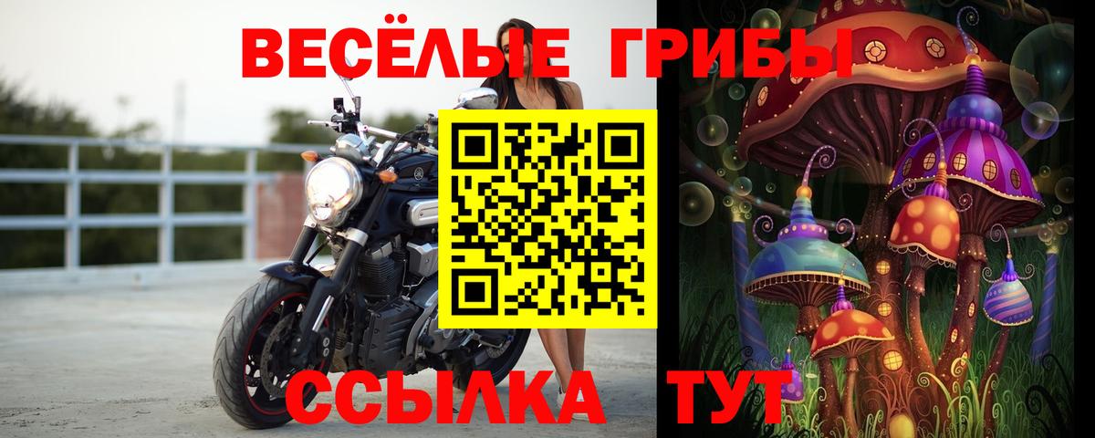 Псилоцибиновые грибы прущие грибы  Вход с VPN  Кунгур 